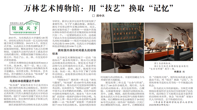 武汉大学万林艺术博物馆 武汉大学万林艺术博物馆