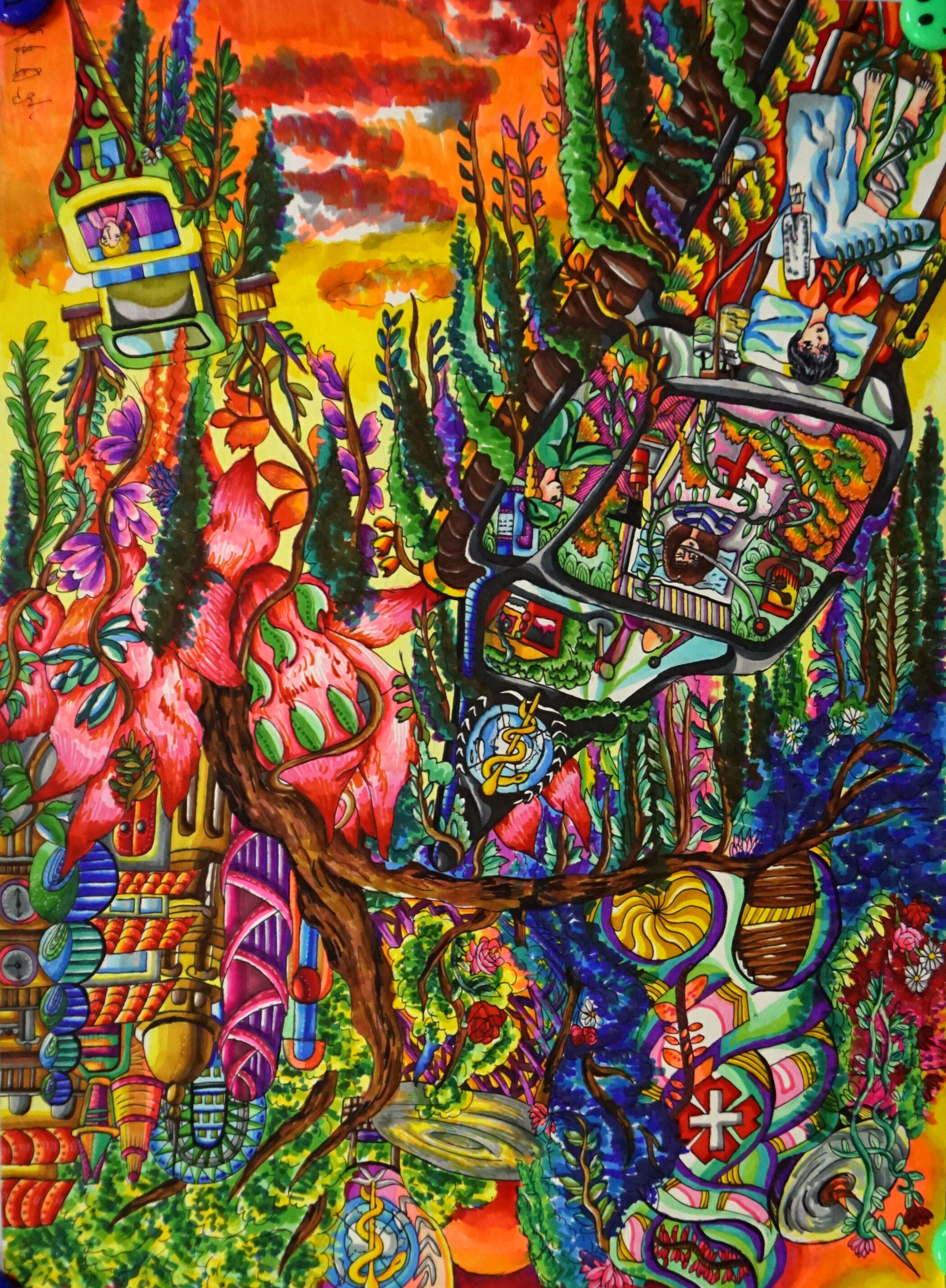 植物医疗站,济南果壳文化小雨点画室,郭妍茹 植物医疗站,济南果壳文化小雨点画室,郭妍茹