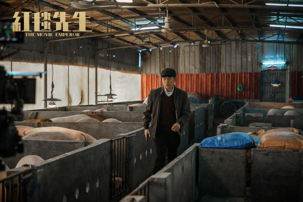红毯先生,刘德华在猪圈 红毯先生,刘德华在猪圈