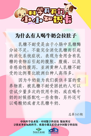 喝牛奶会拉肚子;牛奶;拉肚子 喝牛奶会拉肚子;牛奶;拉肚子