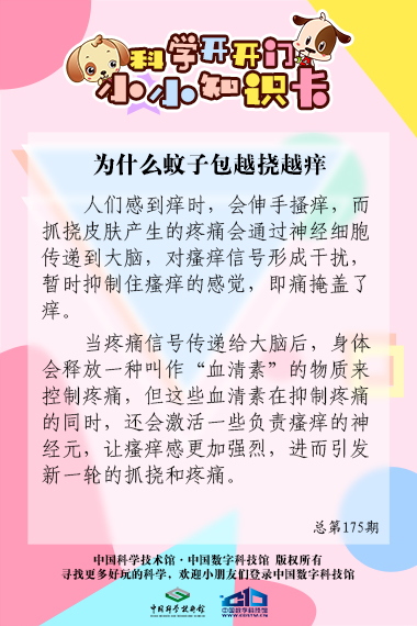 为什么蚊子包越挠越痒？